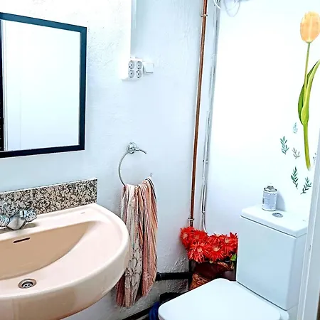 Charming House In Alera With Fireplace  *